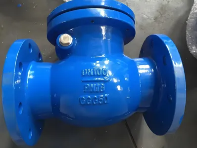 gömbgrafitos öntöttvas lengő visszacsapó szelep PN10